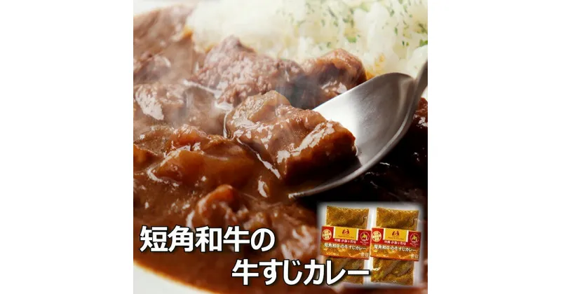 【ふるさと納税】[北海道根室産]短角和牛の牛すじカレー4P A-43018