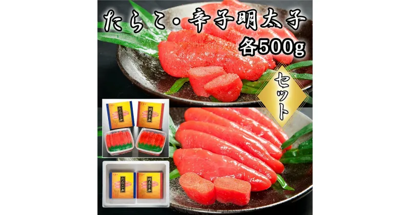 【ふるさと納税】たらこ500g・辛子明太子500g B-65018