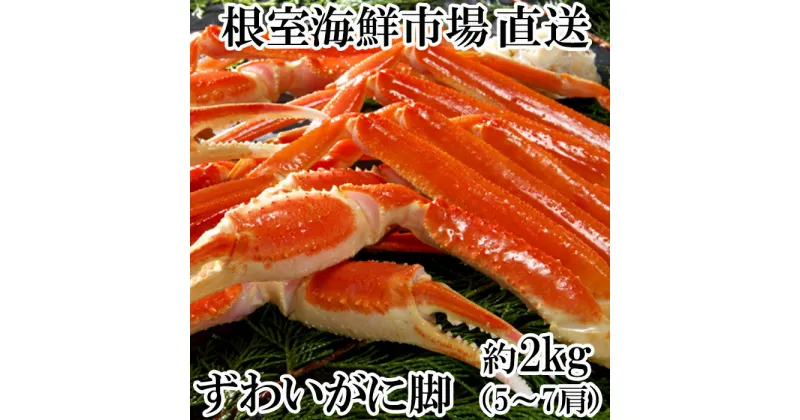 【ふるさと納税】本ズワイガニ脚2kg(5〜7肩) B-14072