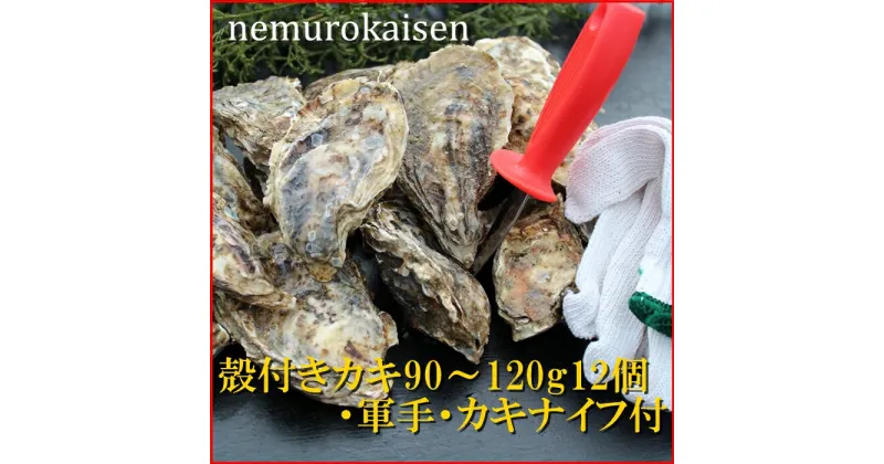 【ふるさと納税】[北海道根室産]殻付カキ90〜120g×12個 A-57055