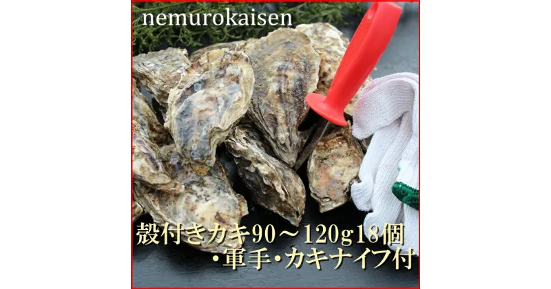 【ふるさと納税】[北海道根室産]殻付カキ90〜120g×18個 B-57026