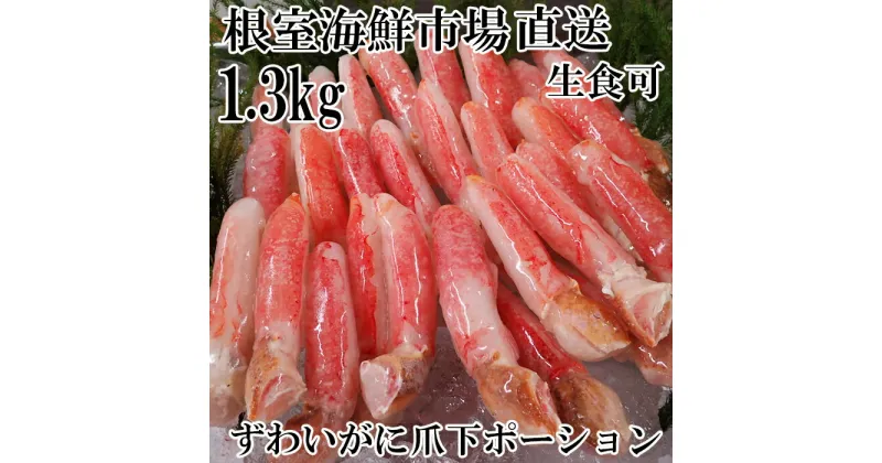 【ふるさと納税】生食用本ズワイガニ爪下棒肉ポーション1.3kg B-14086