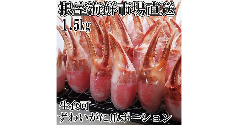 【ふるさと納税】生食用本ズワイガニ爪ポーション1.5kg B-11086