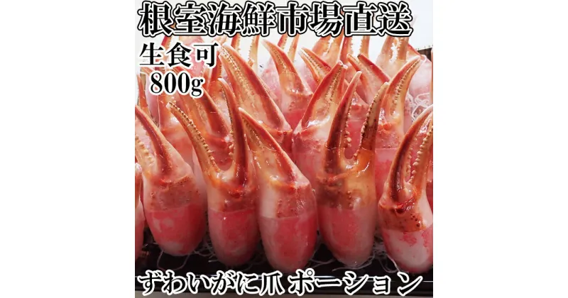 【ふるさと納税】根室海鮮市場＜直送＞生食用本ズワイガニ爪ポーション800g A-28224