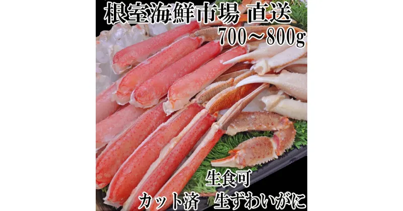 【ふるさと納税】根室海鮮市場＜直送＞生食可！カット済み生ずわいがに700〜800g×1P A-28227