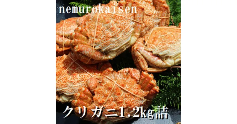 【ふるさと納税】[北海道根室産]クリガニ200〜250g×5〜6尾(計1.2kg) A-57056