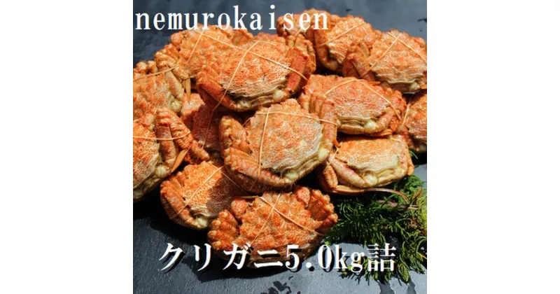 【ふるさと納税】[北海道根室産]クリガニ200〜250g×20〜25尾(計5.0kg) D-57031