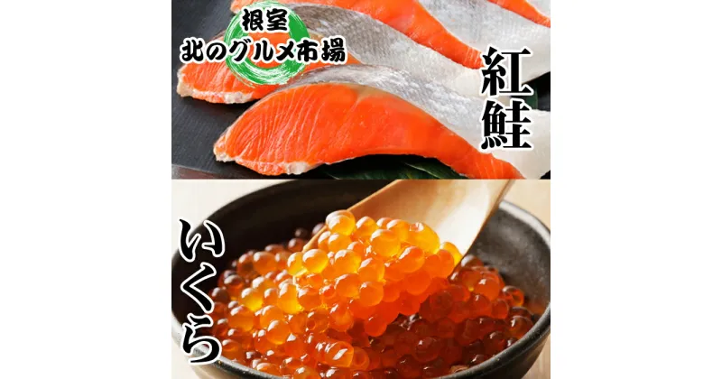 【ふるさと納税】いくら醤油漬け100g×1P、紅鮭切身5切×2P A-76013