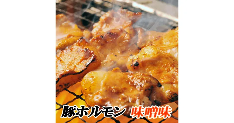 【ふるさと納税】味付け豚ホルモン(味噌味)300g×4P A-76024