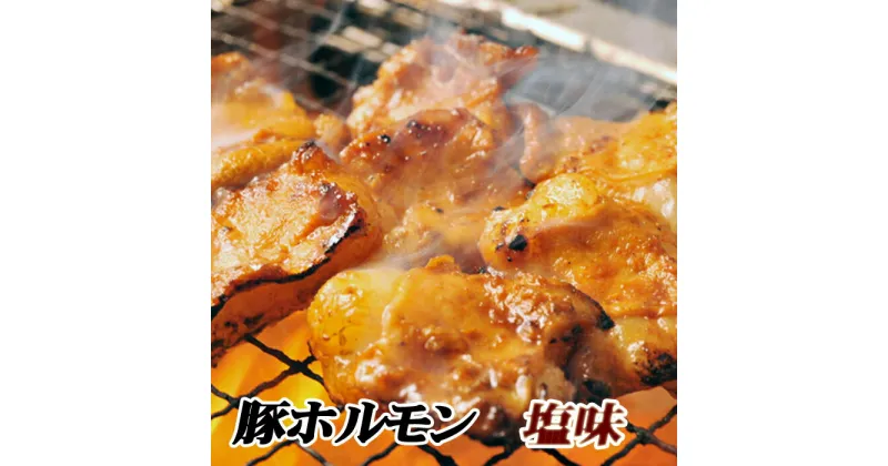 【ふるさと納税】味付け豚ホルモン(塩味)250g×4P A-76025