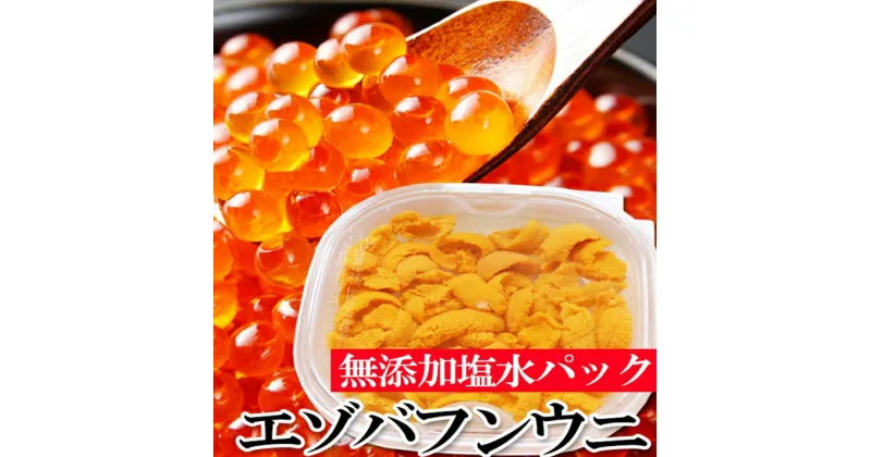 【ふるさと納税】エゾバフンウニ塩水パック130g×1P、いくら醤油漬150g×1P[2025年1月下旬以降発送] D-40050