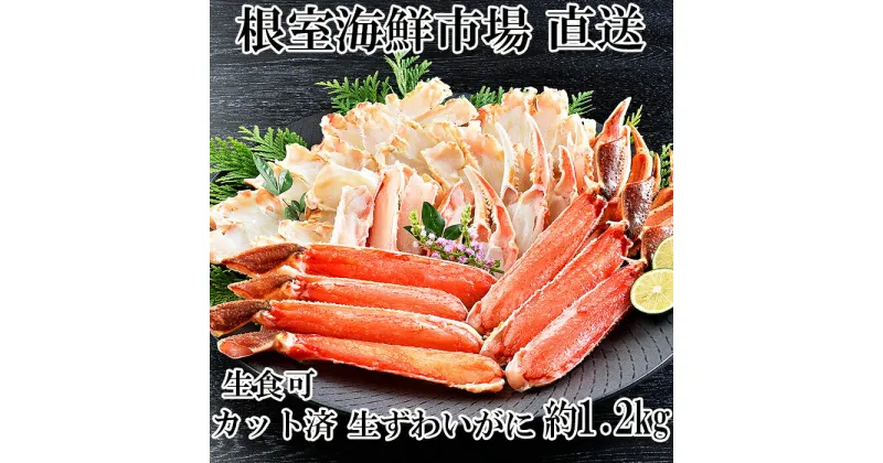 【ふるさと納税】根室海鮮市場＜直送＞生食可！カット済み生ずわいがに約1.2kg B-28100