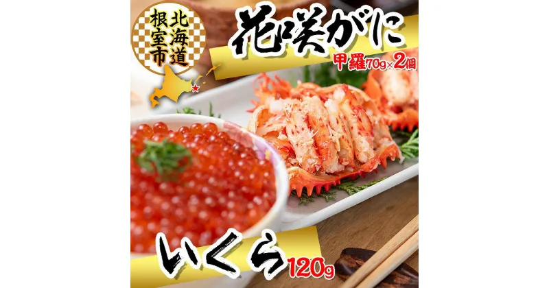 【ふるさと納税】[北海道根室産]花咲ガニ(甲羅詰)70g×2P、いくら醤油漬け120g×1P B-45011