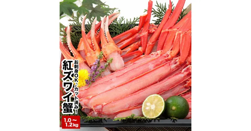 【ふるさと納税】カット済み生紅ズワイガニ(生食可)1〜1.2kg A-58018