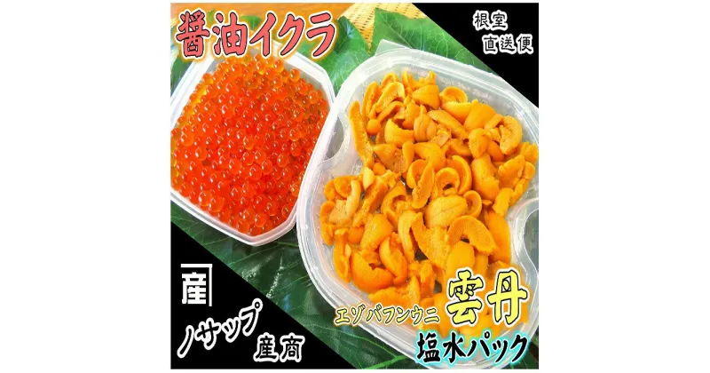 【ふるさと納税】エゾバフンウニ塩水パック80〜90g×1P、醤油いくら80g×2P[11月上旬以降発送] F-59010