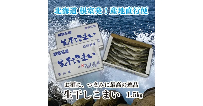 【ふるさと納税】[北海道根室産]生干しこまい500g×3箱(計1.5kg) A-35020