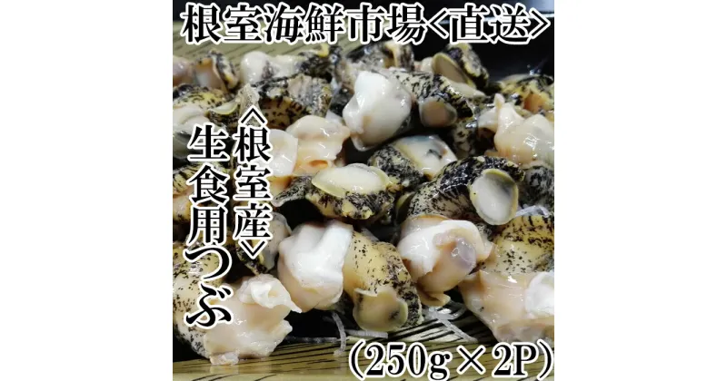 【ふるさと納税】[北海道根室産]生食用灯台つぶ(ボイル済)250g×2P(計500g) G-11040