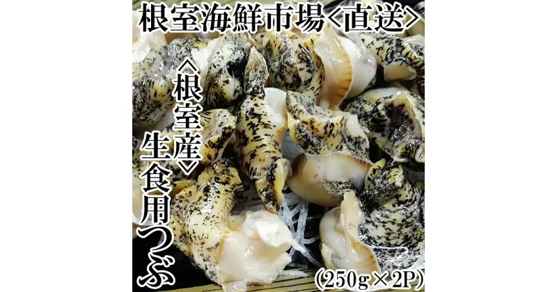 【ふるさと納税】根室海鮮市場＜直送＞[北海道根室産]生食用灯台つぶ(ボイル済)250g×2P(計500g) G-28040