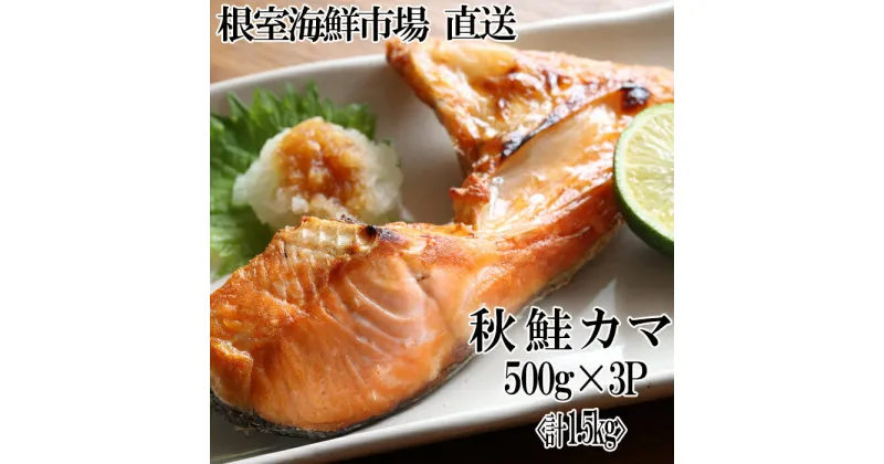 【ふるさと納税】根室海鮮市場＜直送＞甘汐天然秋鮭カマ500g×3P(計1.5kg) G-28042