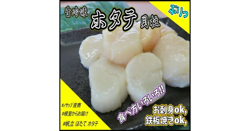 【ふるさと納税】生冷凍ホタテ貝柱300g×1P G-59001