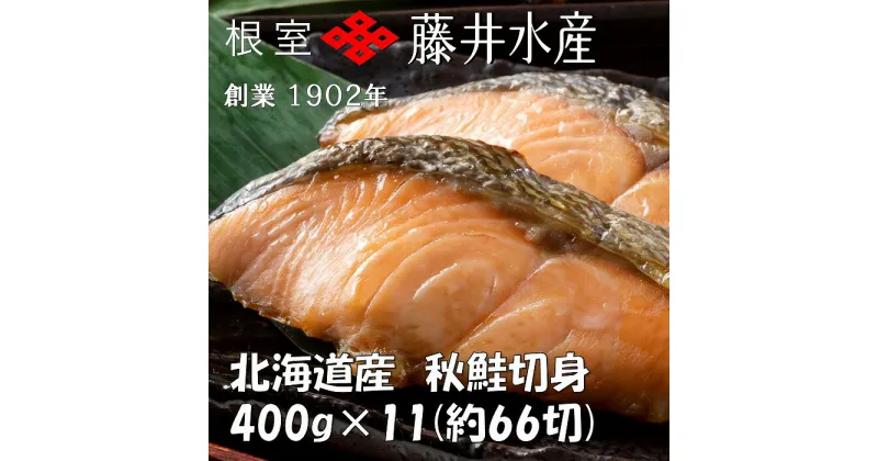 【ふるさと納税】＜鮭匠ふじい＞天然鮭切身(甘塩)400g(約6切)×11P B-42101