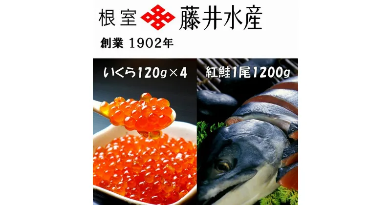 【ふるさと納税】＜鮭匠ふじい＞紅鮭新巻1.2kg、いくら醤油漬け120g×4P F-42004