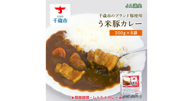 【ふるさと納税】 う米豚カレー200g×8袋 加工食品 惣菜 レトルト【北海道千歳市】ギフト ふるさと納税