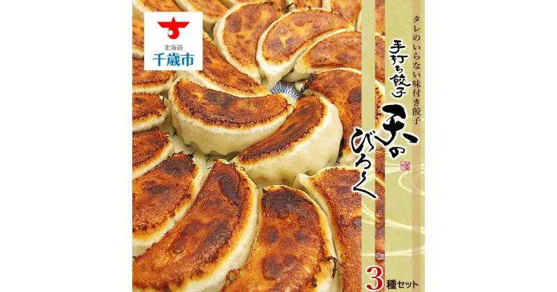 【ふるさと納税】 こだわりの手打ち餃子★天のびろく 3種セット＜手打ち餃子のびろく＞ 加工品 惣菜 冷凍 ぎょうざ ギョーザ 【北海道千歳市】ギフト ふるさと納税