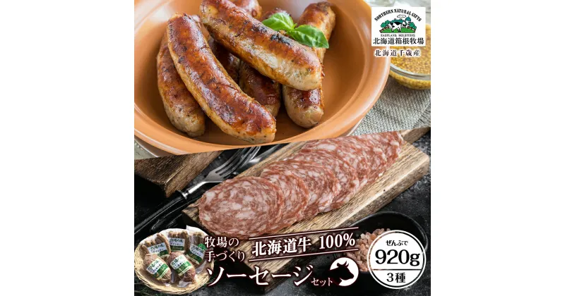 【ふるさと納税】牧場手作り★ビーフソーセージセット〈箱根牧場〉加工肉 惣菜 肉料理 ビーフソーセージ ソーセージ サラミ 北海道ふるさと納税 千歳市 ふるさと納税【北海道千歳市】ギフト ふるさと納税