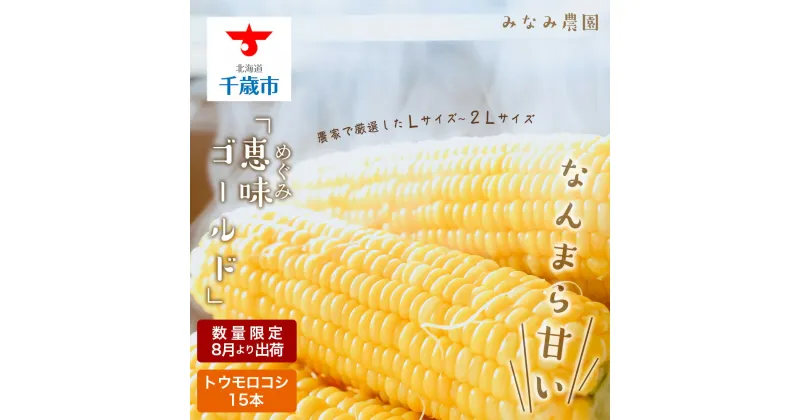 【ふるさと納税】なんまら甘くて食べやすい！2025年8月より出荷！「恵味ゴールド」15本セット恵味 ゴールド とうもろこし トウキビ 野菜 北海道 千歳 北海道ふるさと納税 千歳市 ふるさと納税【北海道千歳市】ギフト ふるさと納税