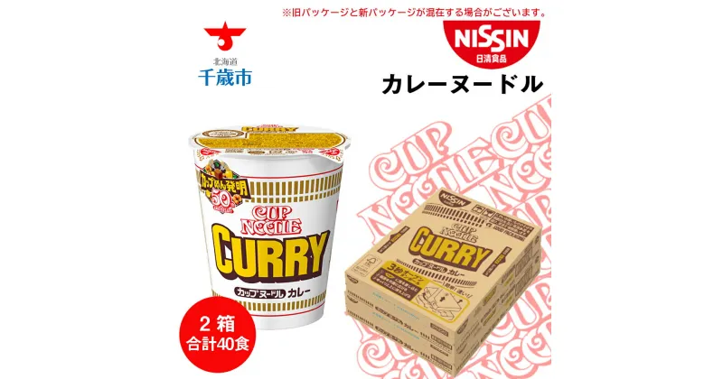 【ふるさと納税】 日清★カレーヌ−ドル★2箱 合計40食 麺類 ラーメンラーメン麺 即席麺 麺類 ラーメン カップ麺 インスタント 麺類 カップラーメン 【北海道千歳市】ギフト ふるさと納税