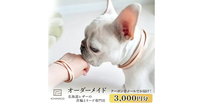 【ふるさと納税】ICHINICOオンラインショップ お仕立て券3,000円分ペット 本革 首輪 ショルダーリード 迷子札チョーカー 犬 猫 オーダーメイド 迷子札 名前入り 刻印 イチニコ 北海道ふるさと納税 千歳市 ふるさと納税【北海道千歳市】ギフト ふるさと納税