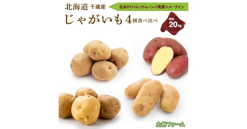 【ふるさと納税】2024年秋発送 じゃがいも 4種 食べ比べ 各5kg 計20kg《 土居ファーム 》 野菜 やさい 芋 いも 北あかり レッドムーン 男爵 メークイン 北海道 千歳【北海道千歳市】ギフト ふるさと納税