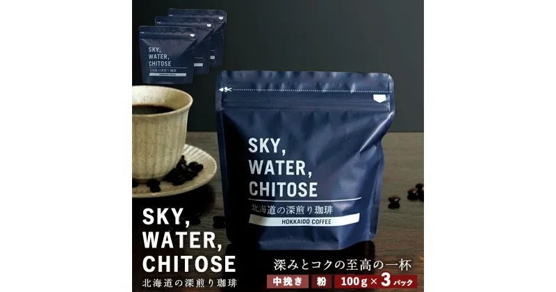 【ふるさと納税】SKY,WATER,CHITOSE 北海道の深煎り珈琲(100g)×3パックレギュラーコーヒー ブレンドコーヒー 深煎り 珈琲 コーヒー インスタントコーヒー 北海道 千歳 北海道ふるさと納税 千歳市 ふるさと納税【北海道千歳市】ギフト ふるさと納税