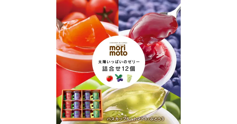 【ふるさと納税】太陽いっぱいのゼリー詰合せ 12個 スイーツ 北海道 千歳 プレゼント ギフト 手土産 銘菓 《北海道千歳市 もりもと》北海道ふるさと納税菓子グルメ お取り寄せ 菓子 ゼリー ハスカップ【北海道千歳市】ギフト 夏ギフト