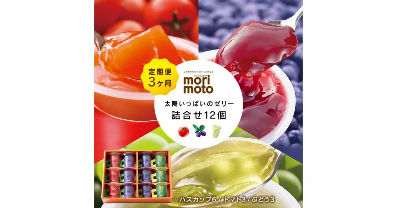 【ふるさと納税】【定期便 全3回】 太陽いっぱいのゼリー詰合せ 12個 スイーツ 北海道 千歳 プレゼント ギフト 手土産 銘菓 《北海道千歳市 もりもと》北海道ふるさと納税菓子グルメ お取り寄せ 洋菓子 ゼリー ハスカップ【北海道千歳市】ギフト ふるさと納税