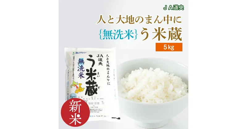 【ふるさと納税】【無洗米】新米 北海道産 う米蔵5kg【JA道央】無洗米 米 ブレンド米 ななつぼし あやひめ ブレンド う米蔵 北海道米 北海道産 北海道千歳市ギフト ふるさと納税