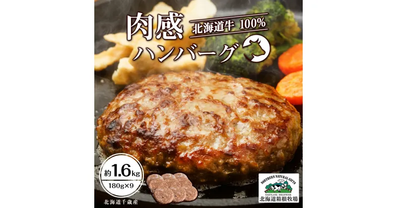 【ふるさと納税】牧場手作り★オリジナルハンバーグセット〈箱根牧場〉加工肉 惣菜 肉料理 ビーフハンバーグ ハンバーグ 北海道ふるさと納税 千歳市 ふるさと納税【北海道千歳市】ギフト ふるさと納税