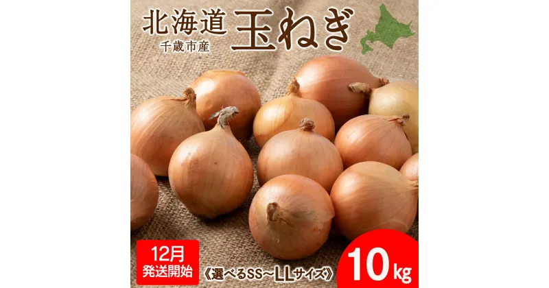 【ふるさと納税】 【2024年12月発送開始】玉ねぎ 10kg 選べるSS～LLサイズ 北海道 千歳市産 甘い たまねぎ 野菜 冷蔵 タマネギ 【假屋フードブリッジ】玉ねぎ たまねぎ タマネギ 玉葱 野菜 北海道ふるさと納税 千歳市 【北海道千歳市】ギフト ふるさと納税