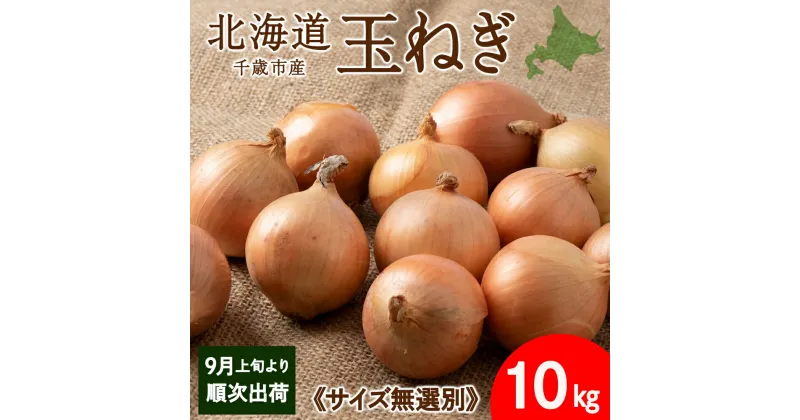 【ふるさと納税】 玉ねぎ 10kg 無選別サイズ 北海道 千歳市産 甘い たまねぎ 野菜 冷蔵 タマネギ 【假屋フードブリッジ】玉ねぎ たまねぎ タマネギ 玉葱 野菜 北海道ふるさと納税 千歳市 【北海道千歳市】ギフト ふるさと納税