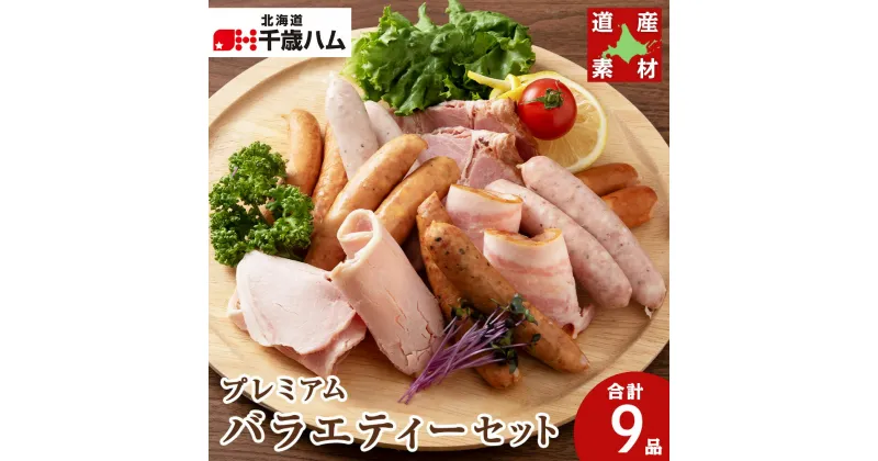 【ふるさと納税】 北海道産 豚肉 9種バラエティー セット ハム ベーコン ウインナー ソーセージ 豚 食べ比べ 千歳工房 豚肉 肉 北海道 千歳ハム 加工肉 肉料理 【北海道千歳市】ギフト ふるさと納税