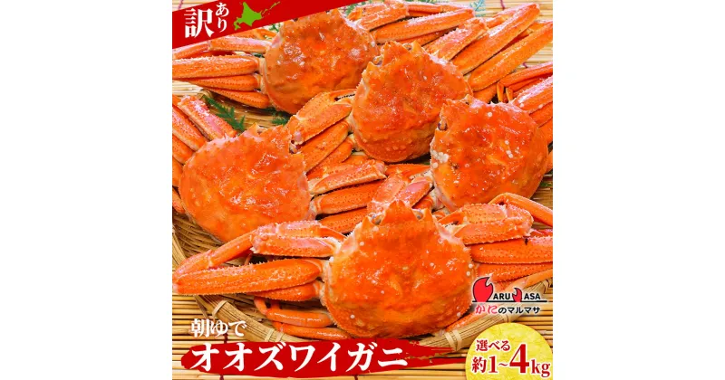 【ふるさと納税】送料無料 北海道産【朝ゆで】訳ありオオズワイガニ 選べる1kg～4kg詰 道産品オオズワイ ズワイガニ ずわい蟹 カニ 蟹 規格外品 不揃い 訳アリ 訳有り