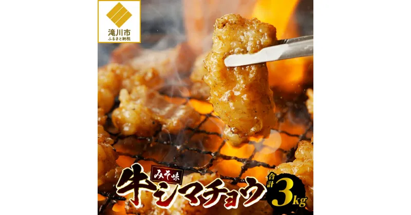 【ふるさと納税】居酒屋さ蔵 牛シマチョウ300g×10袋｜牛ホルモン ホルモン焼き 焼肉 BBQ バーベキュー 味付き みそ味 300g×10袋 3kg ギフト 贈り物 北海道 滝川市