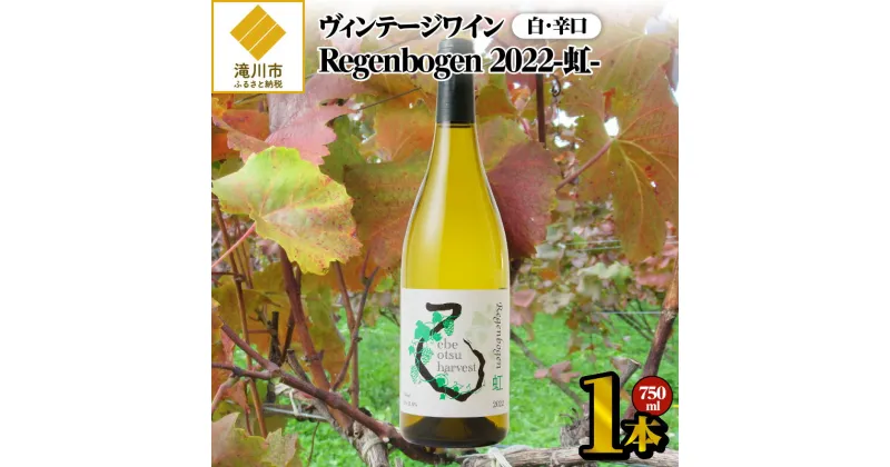 【ふるさと納税】2022ヴィンテージワイン (白)750ml｜北海道 白ワイン ぶとう アルコール お酒 酒 辛口 醸造 良質 自家製栽培 7品種のブドウ 記念日 贅沢 贈り物 プレゼント ギフト