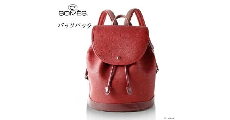 【ふるさと納税】[RE-07] SOMES　RE-07バックパック（ワイン）　革　革製品　革鞄　革バッグ　鞄　バッグ　バックパック　リュック [012260106] レビューキャンペーン