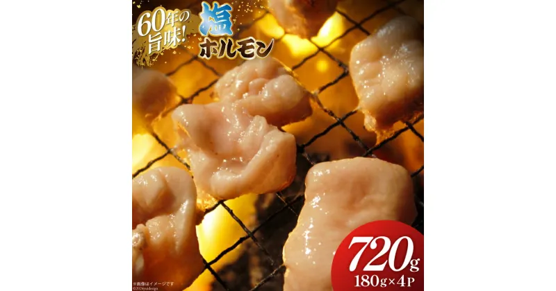 【ふるさと納税】【ふるさと納税】塩 ホルモン 180g × 4パック [木村精肉店 北海道 歌志内市 01227ai063] 小分け 冷凍 焼き肉 焼肉 おつまみ 豚