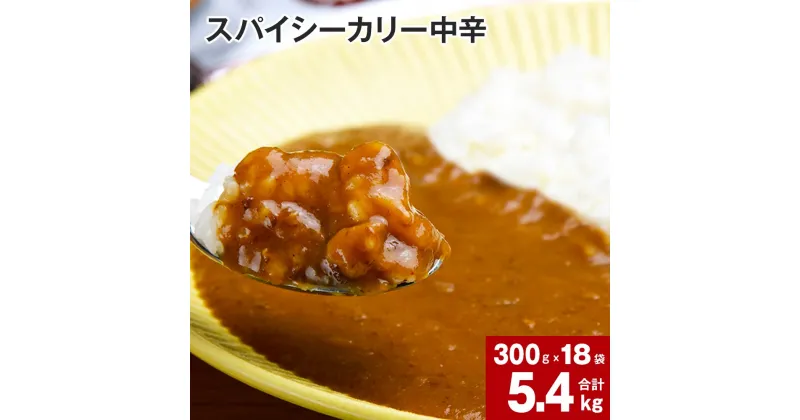 【ふるさと納税】 スパイシーカリー 中辛 レトルト 300g×18袋 レトルトカレー カレーソース カレー 玉ねぎ 旨み コク カレーライス アレンジ 職人 煮込み ピリ辛 簡単 お手軽 ボリュームたっぷり 北海道 深川市