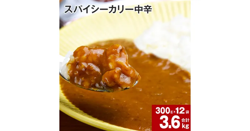 【ふるさと納税】 スパイシーカリー 中辛 レトルト 300g×12袋 レトルトカレー カレーソース カレー 玉ねぎ 旨み コク カレーライス アレンジ 職人 煮込み ピリ辛 簡単 お手軽 ボリュームたっぷり 北海道 深川市