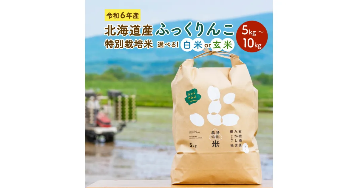 【ふるさと納税】【選べる白米・玄米・容量】令和6年産 北海道産 特別栽培米 ふっくりんこ 白米 玄米 5kg 10kg 精米 お米 米 ごはん ご飯 単一原料米 深川市産 深川産 検査済 北海道 深川市 送料無料 【2024年11月下旬より発送開始】