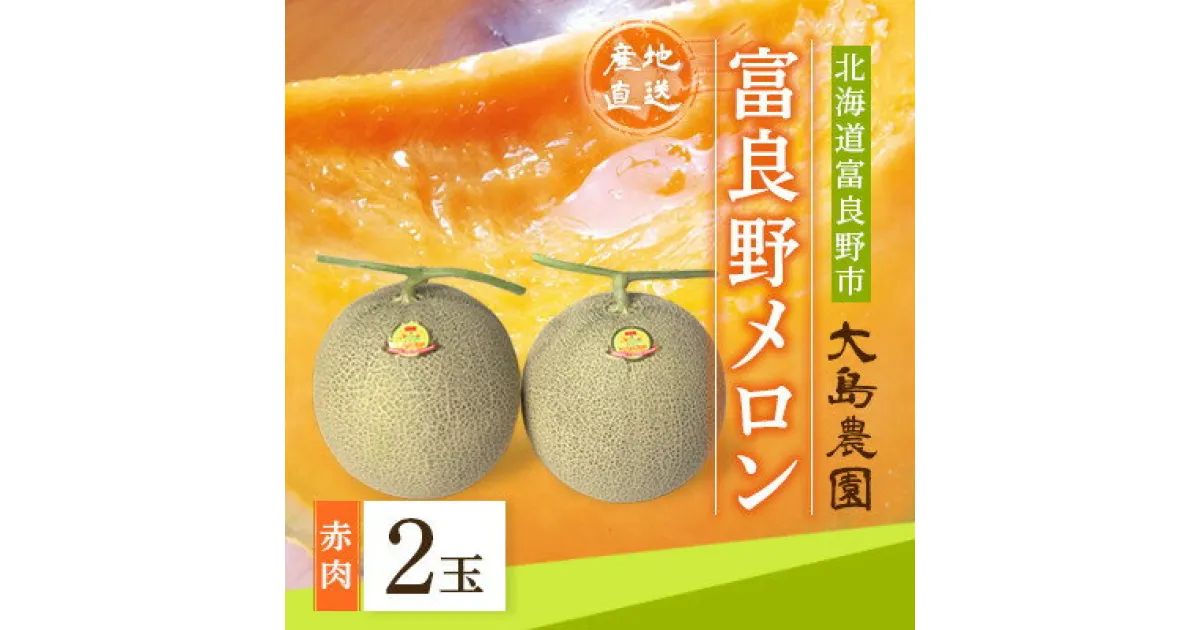 【ふるさと納税】富良野メロン　赤肉2玉　北海道富良野市『大島農園』_ メロン めろん ふらのメロン 赤肉 赤肉メロン 北海道 富良野市 富良野 ギフト お中元 プレゼント ふるさと 【1261685】